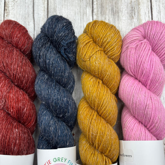 Mayflowers, Midnight, Pumpkin, Ochre 4 Pack