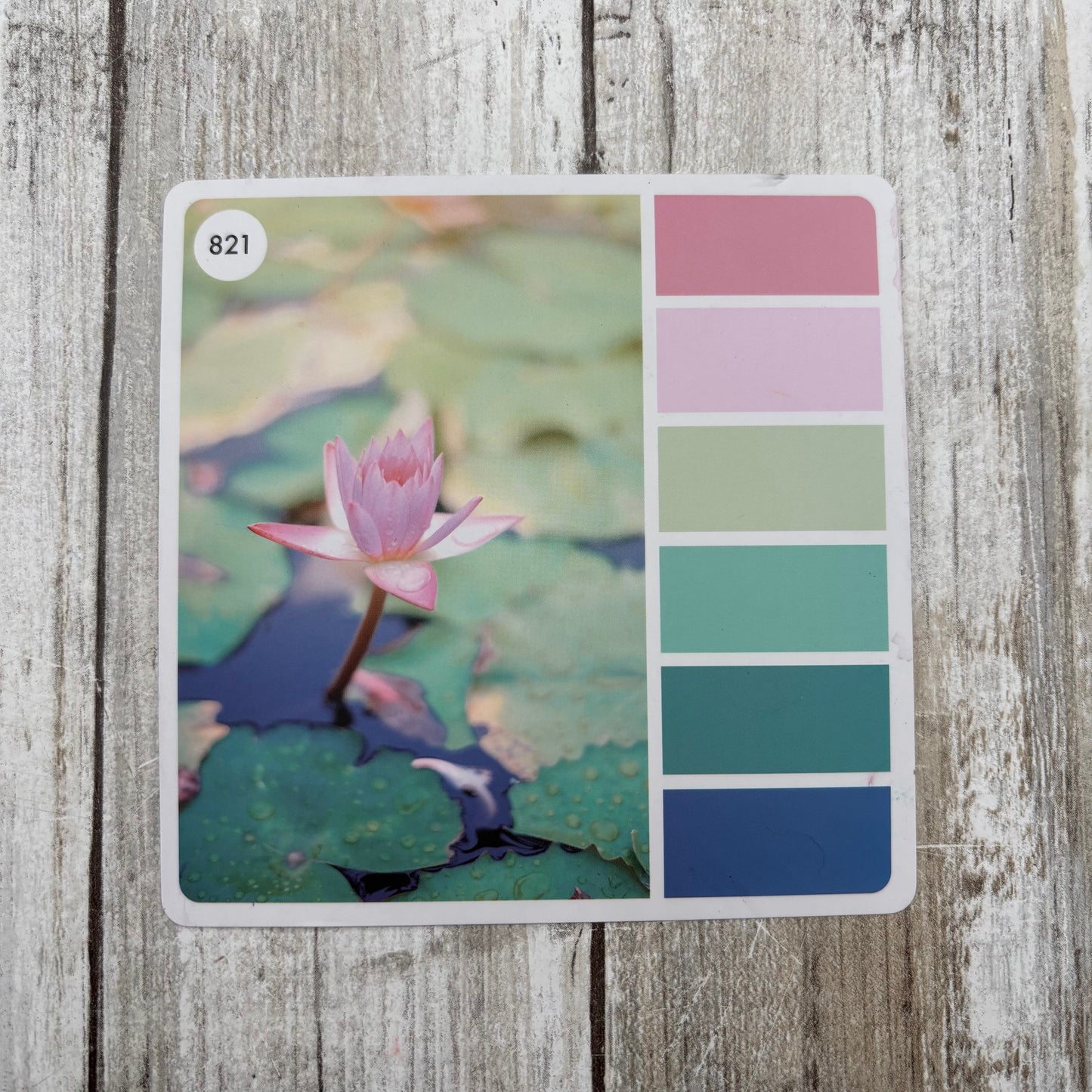 Mystery Yarn Club- March